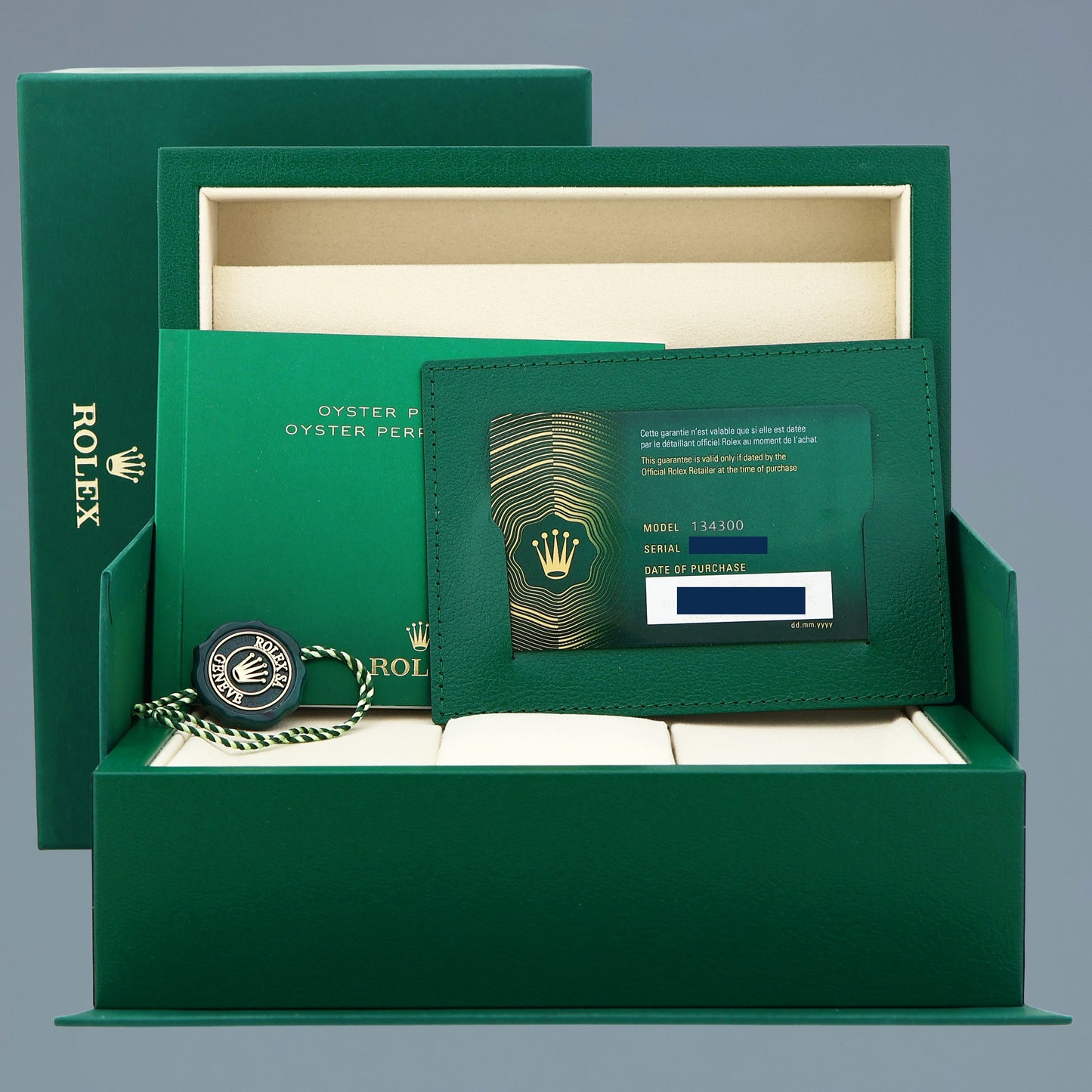 2025 NEW PAPERS Rolex Oyster Beige 134300 Perpetual 41mm Steel Watch Box