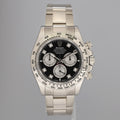 2023 Rolex Daytona Ghost Black Diamond Chronograph 126509 White Gold Watch Box