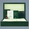 MINT 2004 PAPERS Rolex Platinum President 118206 Glacier Roman Day Date 36mm Watch