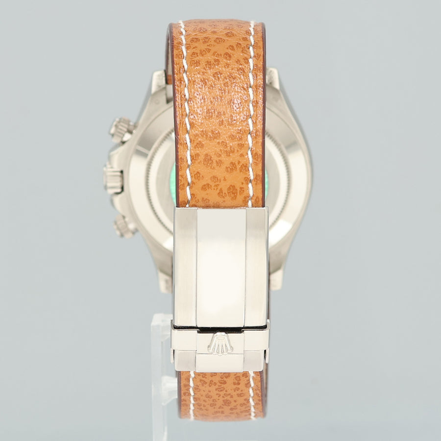 MINT PAPERS Rolex Daytona 18k White Gold 116519 Meteorite Roman Leather Watch Box