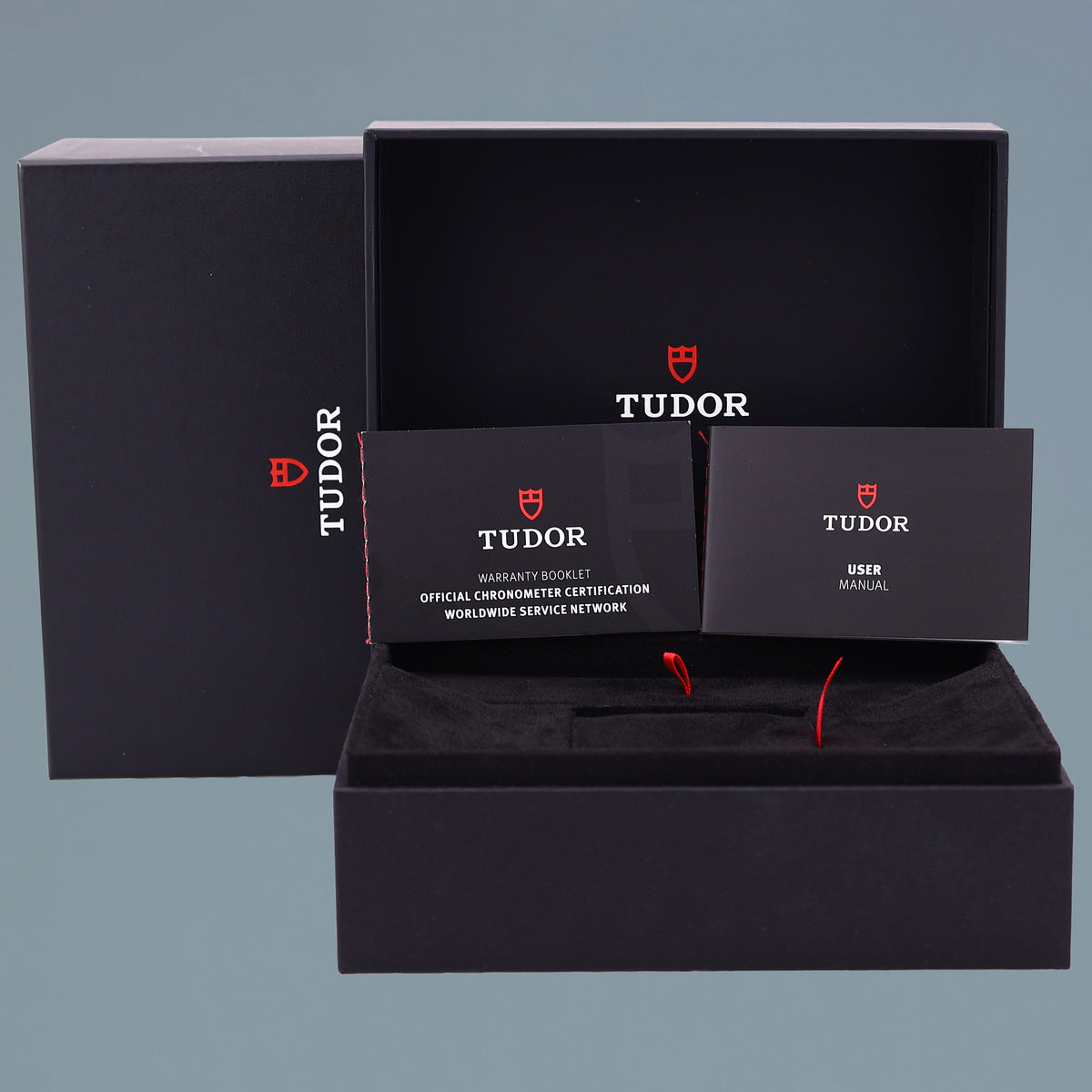 2025 NEW STICKERS Tudor Pelagos Carbon 42mm 25707KN Automatic Blue Watch Box